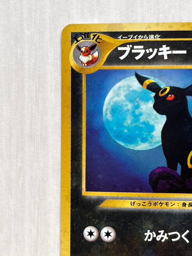 ブラッキー　旧裏