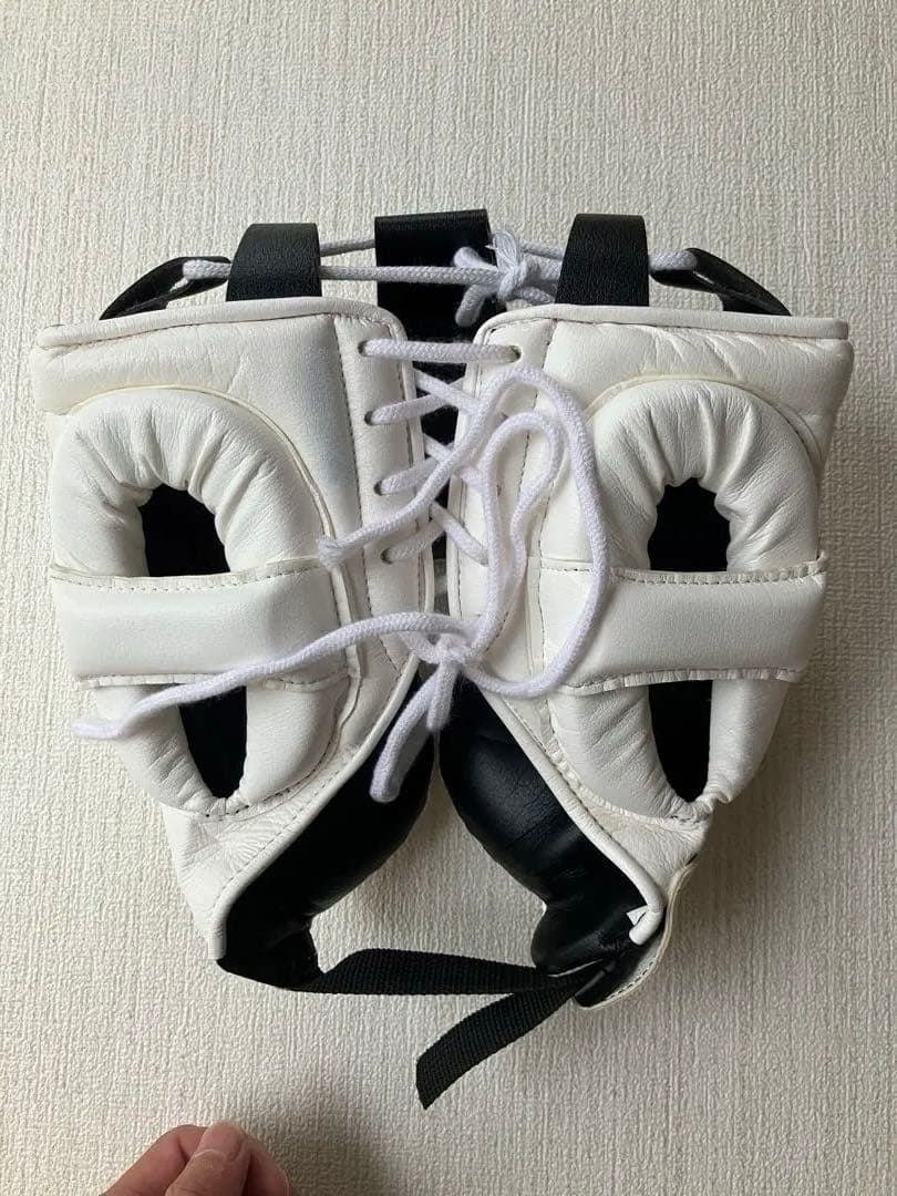 Winning ヘッドギア フルフェイスタイプ ホワイトM FG-2900