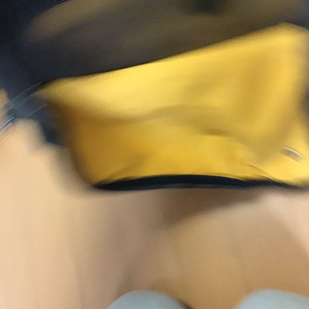 【美品】キャリー　犬猫　お出かけ　キャリーリュック　inside dog cat