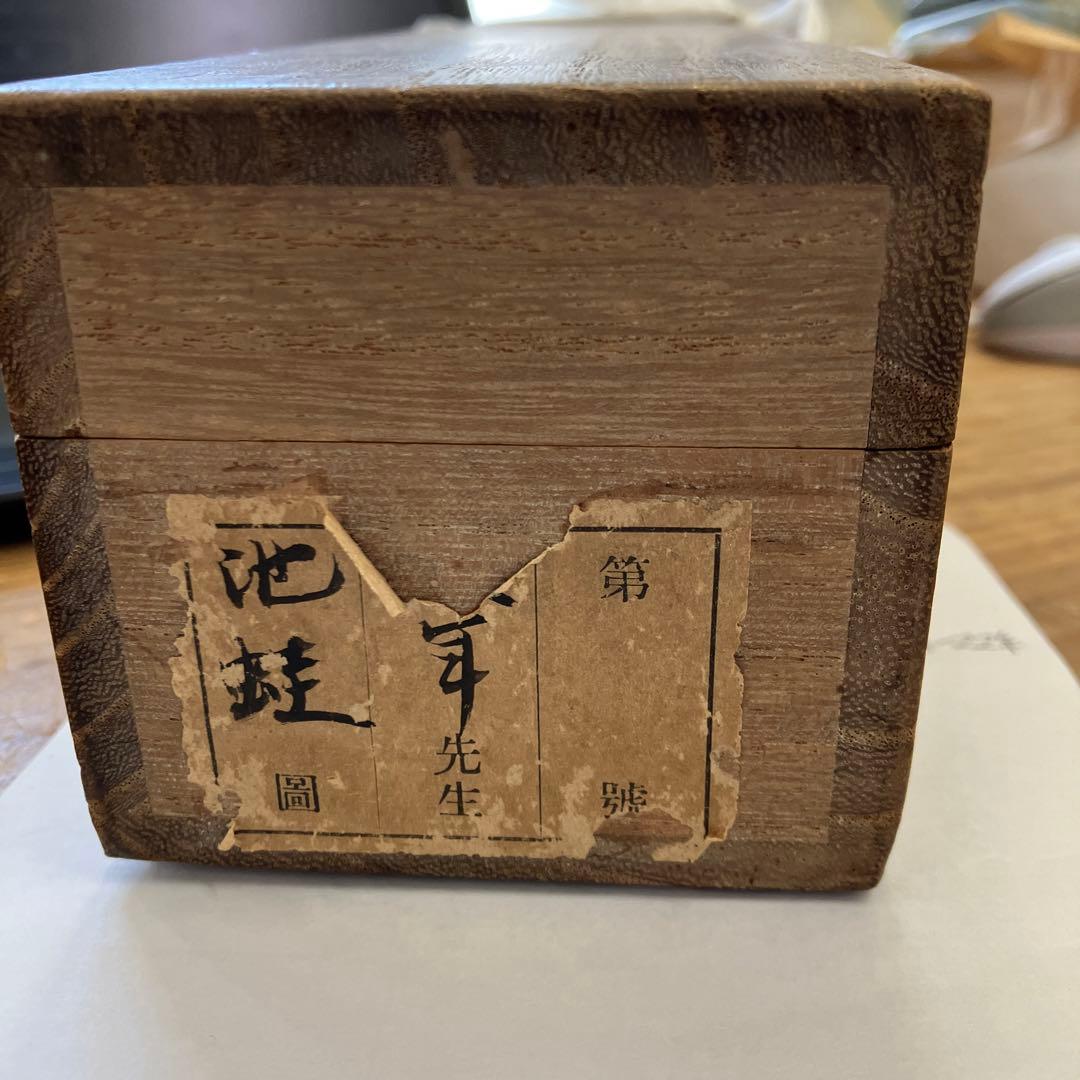 K茶道具　掛軸　「水邊(池蛙)」　双年作　共箱(一部削れ有り)　S215KJ