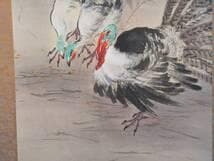 【真作】掛軸　竹垣と七面鳥図　花鳥図　雅趣あふれる禽鳥図　合箱入　S13