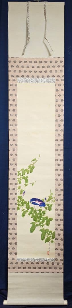 【朝顔図】平井楳仙 2720 アサガオ 掛け軸 肉筆 共箱二重箱