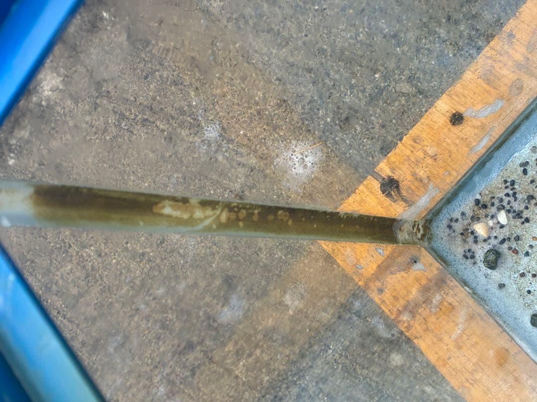 ガラス水槽　サイズ: 750×450×400＝129ℓ