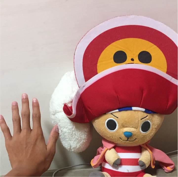 チョッパー ぬいぐるみ