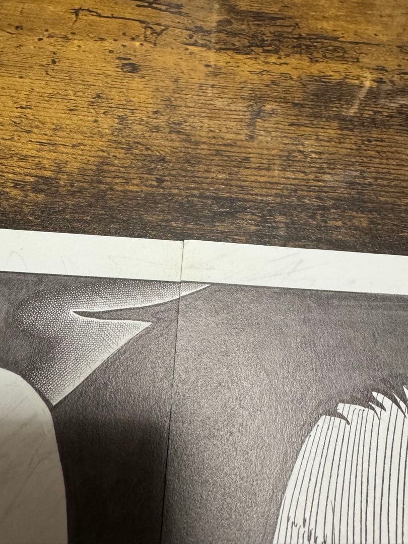 ONEPIECE 複製原画 ビブルの秘宝② エース