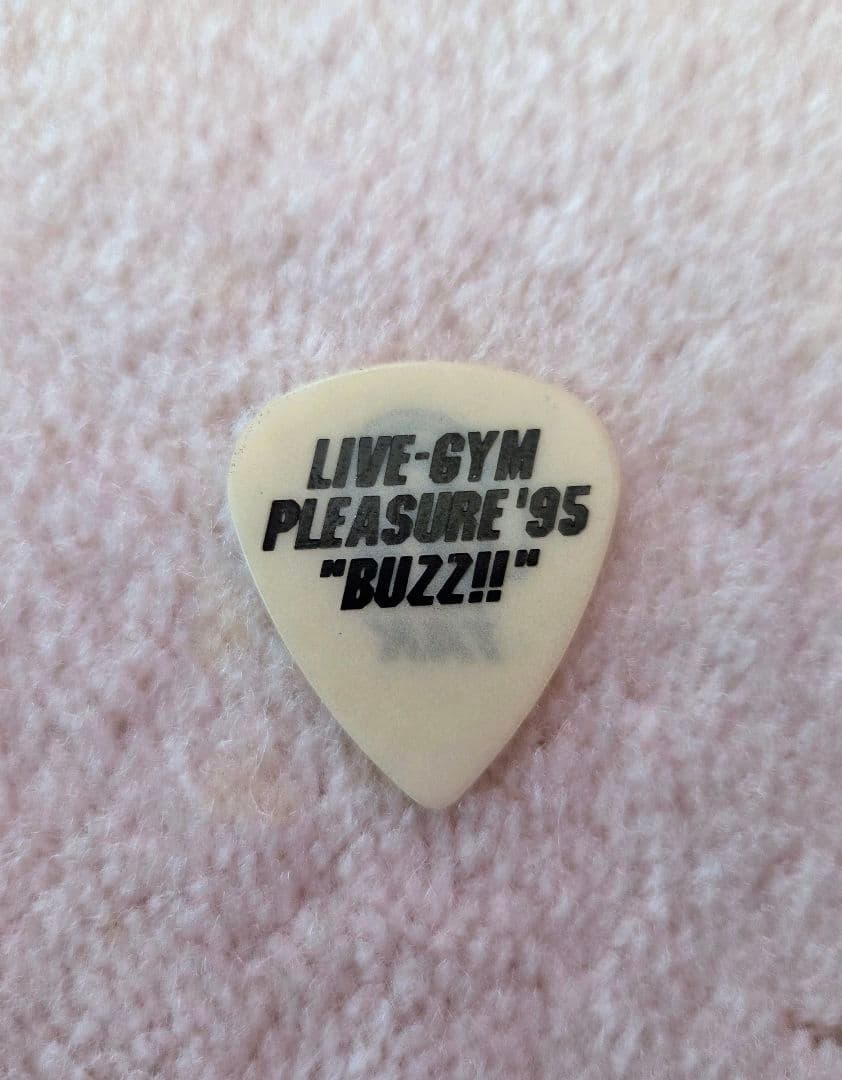 R*O様 【B'z LIVE GYM '95】 PLEASURE'95 BUZZ