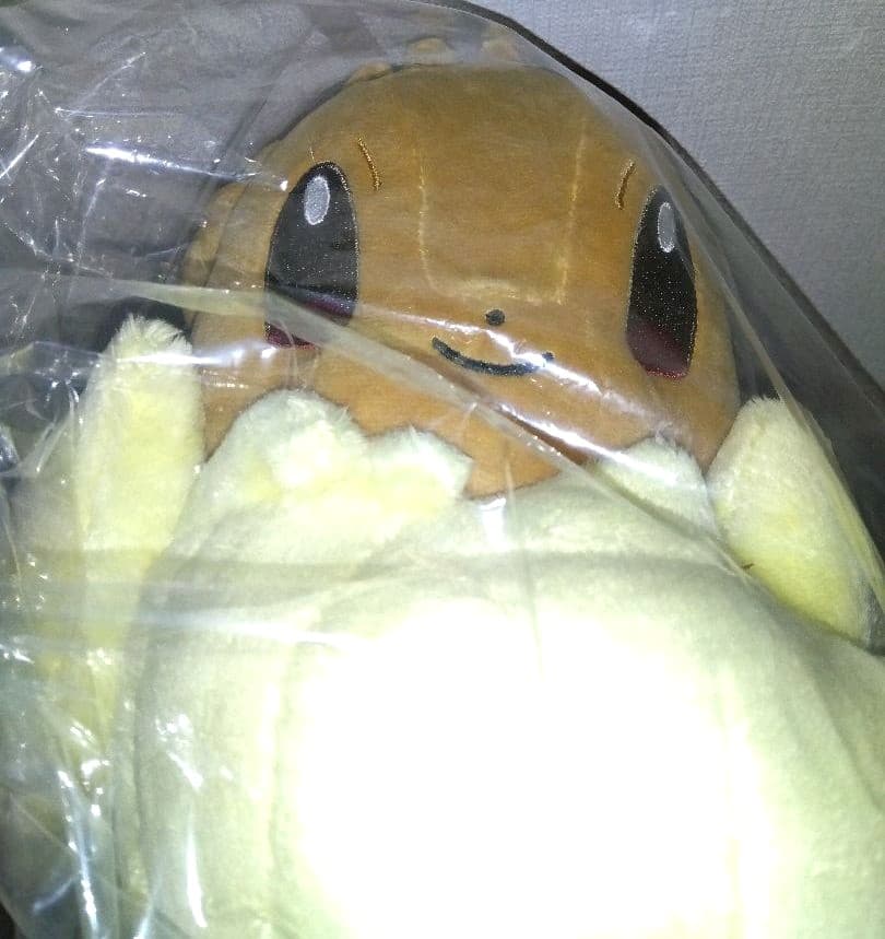 ポケモン　ぬいぐるみ　イーブイ　キョダイマックス　202307092030