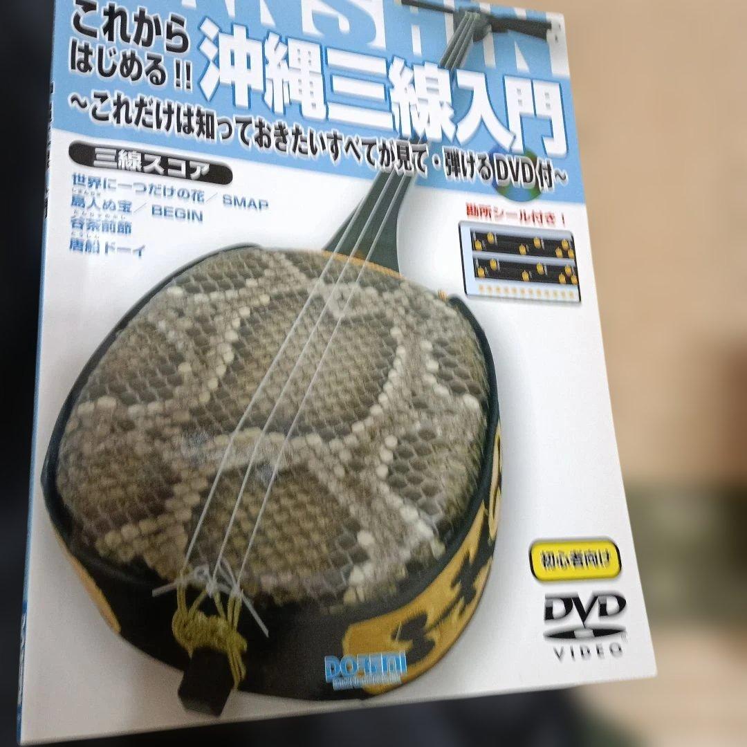 127,沖縄三線本体 ヘビ皮模様 付属品付き