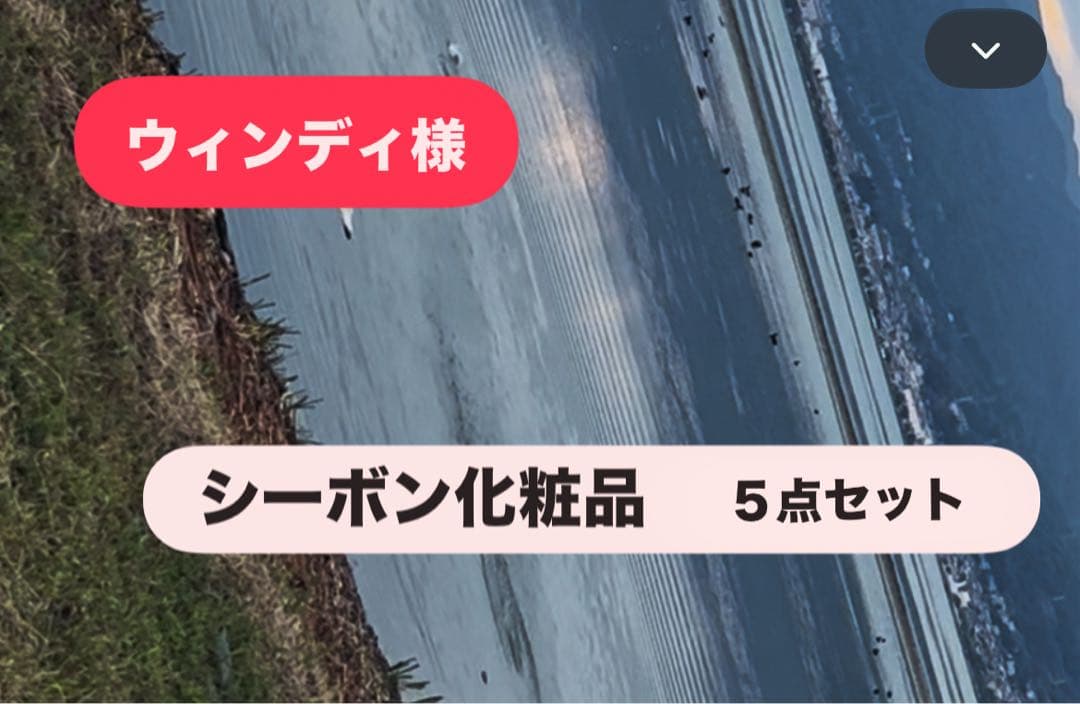 ウィンディ　シーボン化粧品 5点セット