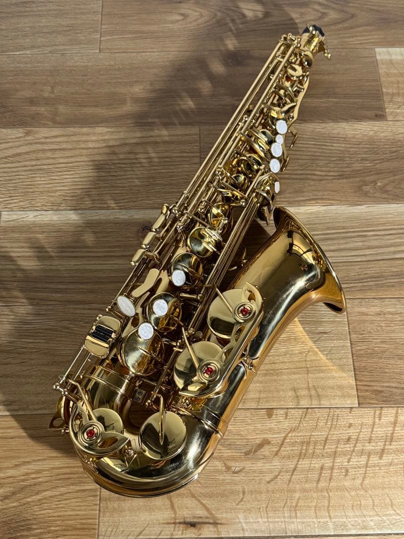 アルトサックス　ノーブランド【おまけ多数/状態良好！】