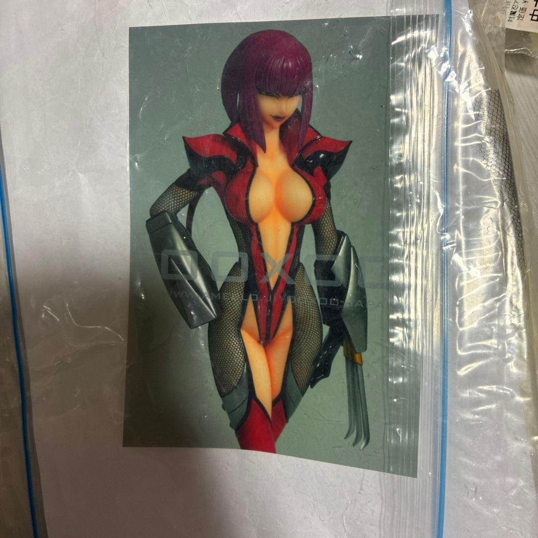 対魔忍　ガレージキット　朧