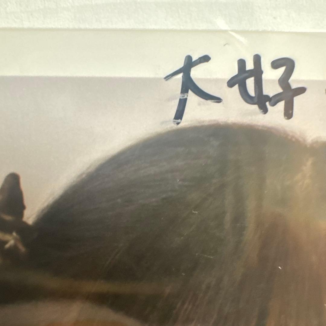 増本綺良　4thツアー　直筆サイン入り生写真