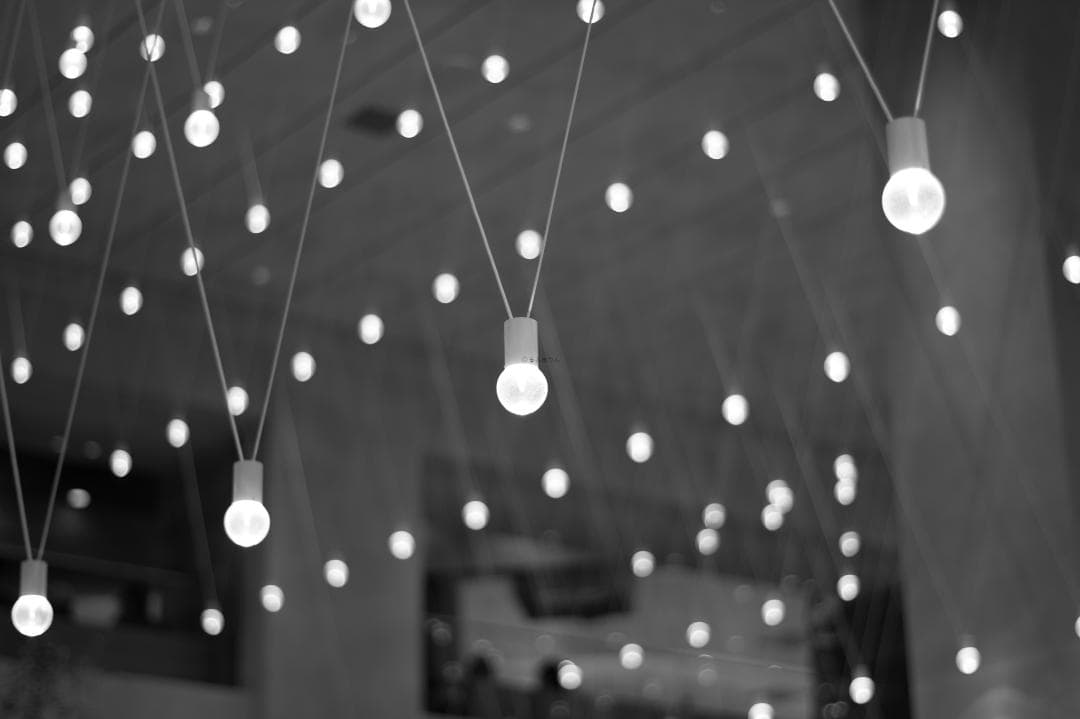 ボケ味美しい撒き餌レンズ！SMC PENTAX-DA 50mm F1.8