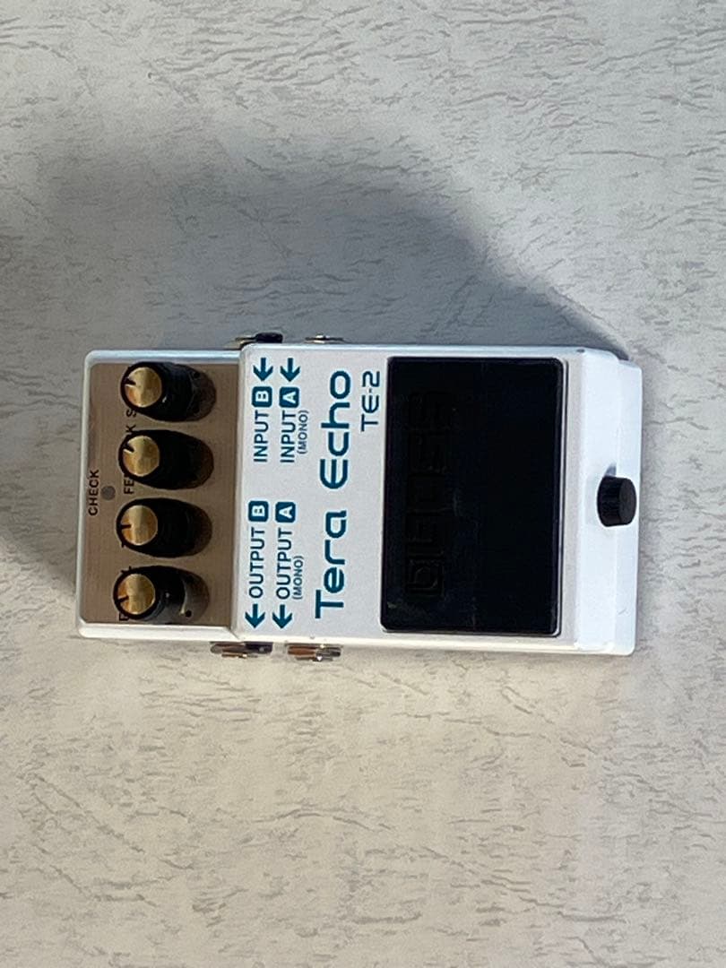 あの・寺内節の必需品テラ・エコーたまらない残響音をお楽しみに・・・