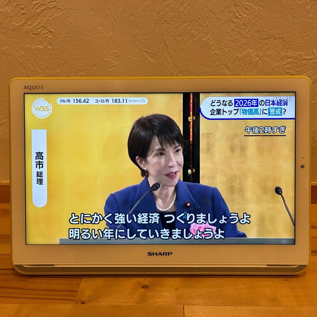 SHARP AQUOS 防水テレビ リモコン付き 2T-C16AP