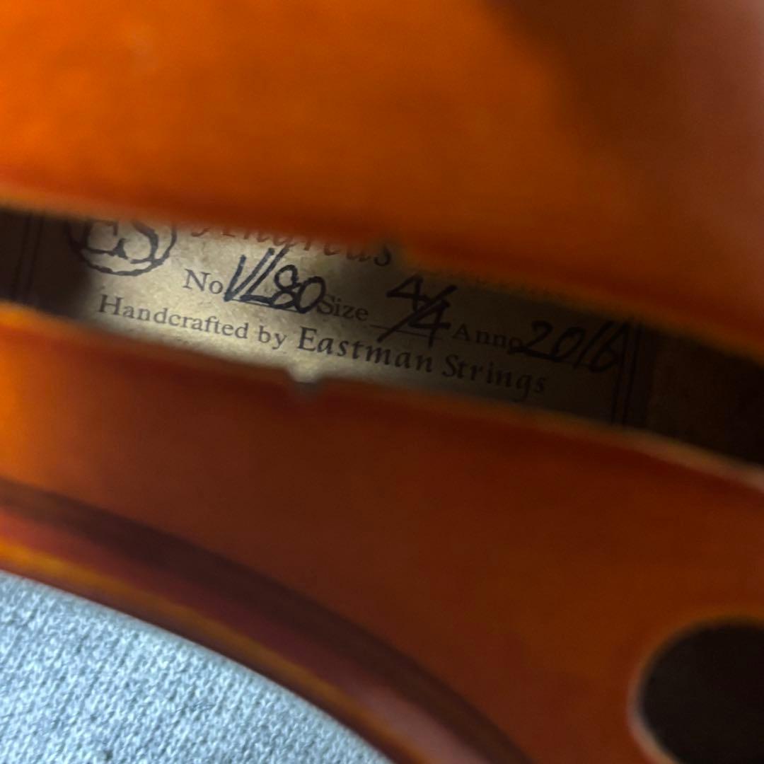 Andreas Eastman VL80 4/4 バイオリン　2016年製