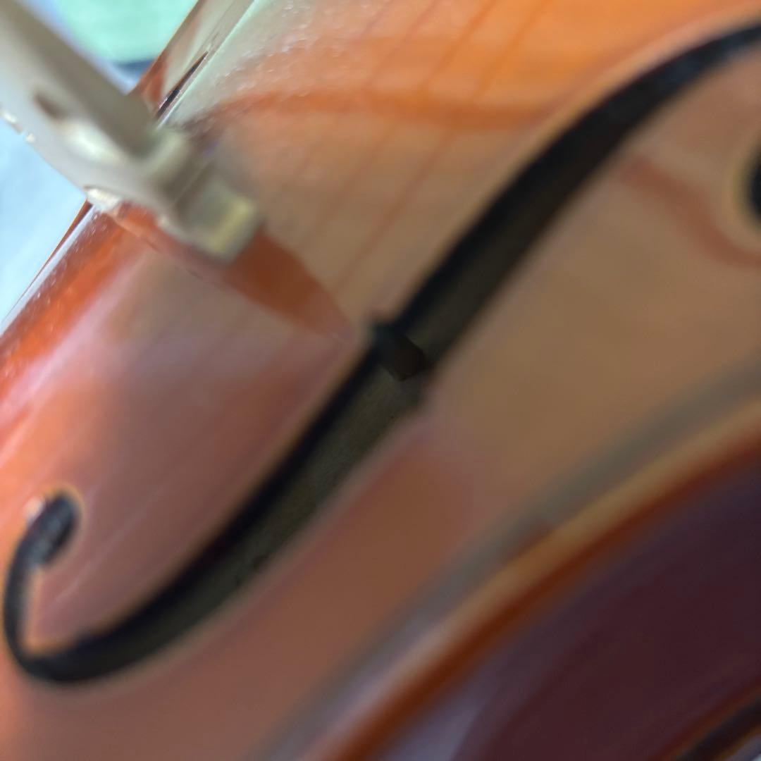 Andreas Eastman VL80 4/4 バイオリン　2016年製