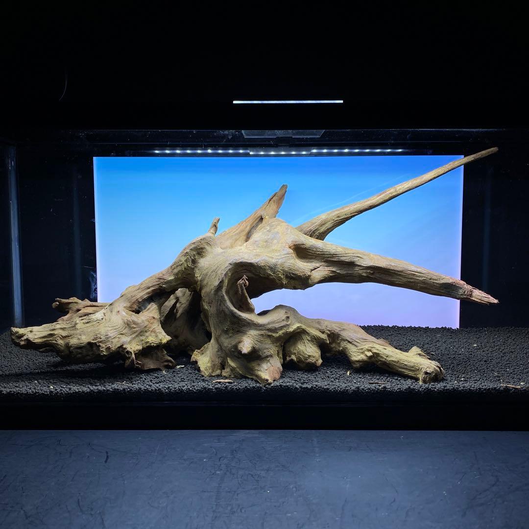 MRW-6371 特大流木　1点物自立　90cm水槽用　アクアリウム　爬虫類