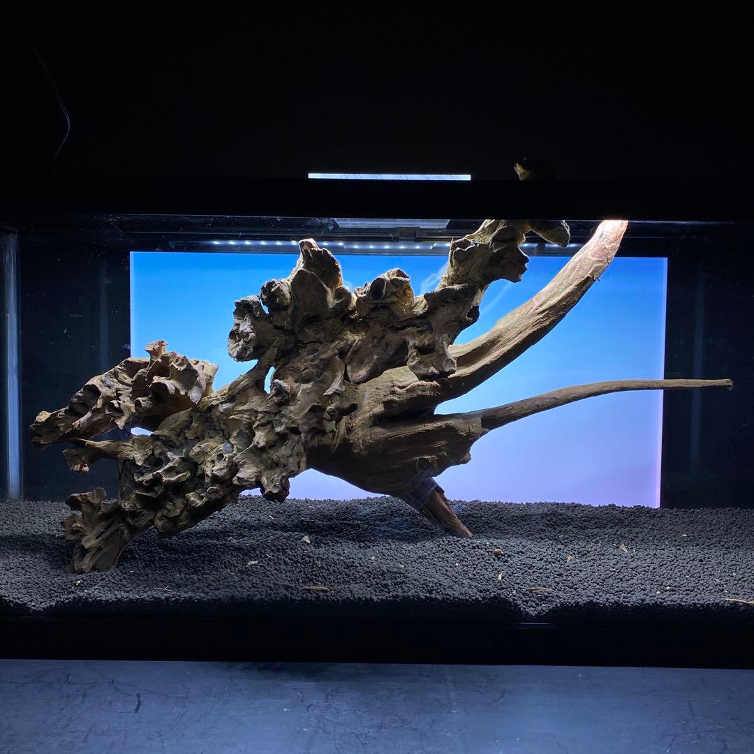 MRW-6371 特大流木　1点物自立　90cm水槽用　アクアリウム　爬虫類