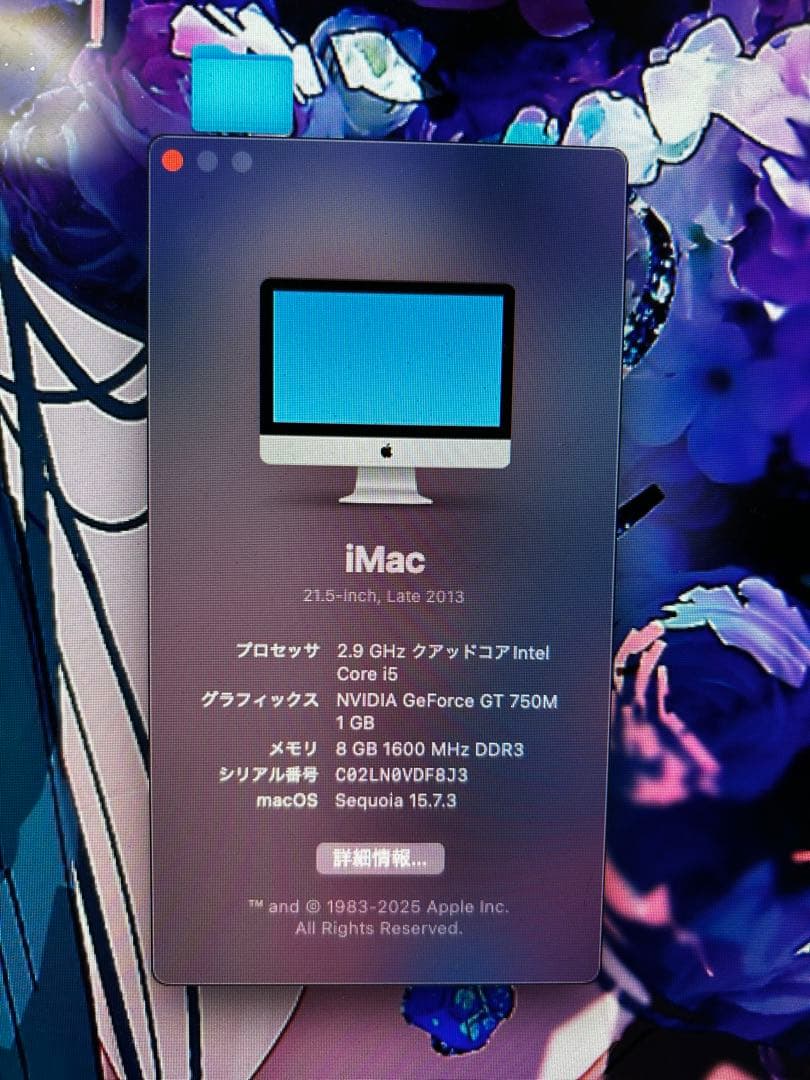 iMac 21.5インチ Late 2013 おまけ付 SSD換装済