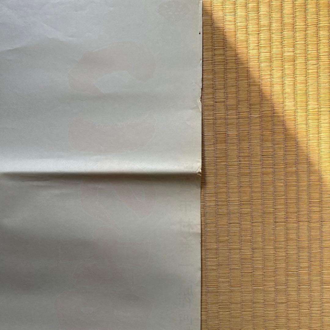 [映画ポスター] この声なき叫び