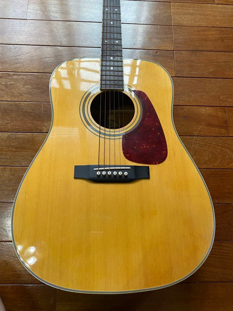 Morris MD-507N アコースティックギター