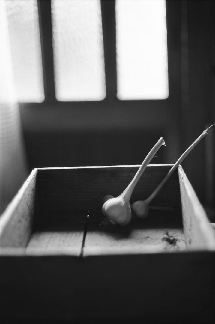 実働機 Canon F-1 FD50mm F1.4 作例あり