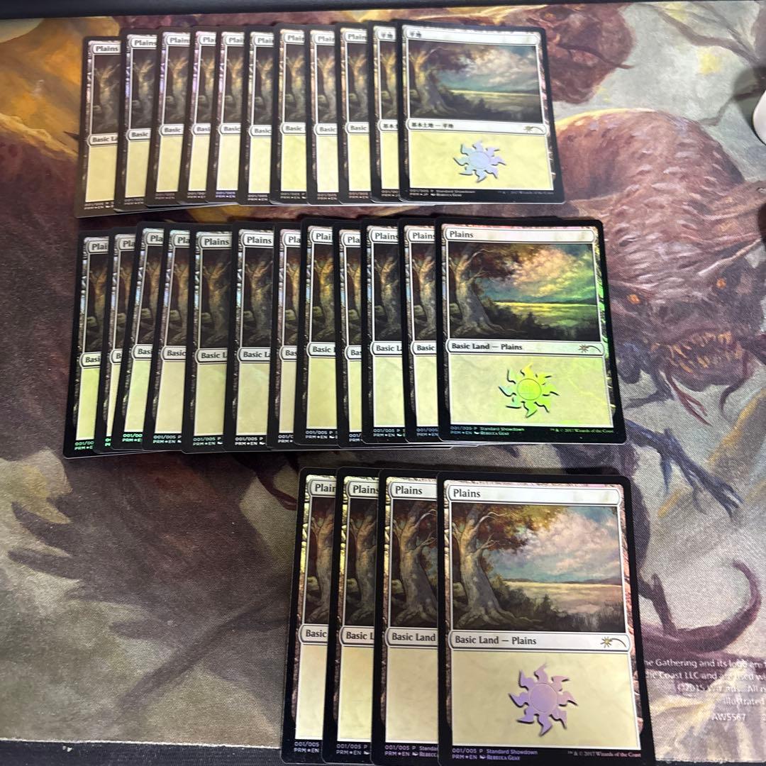 MTG 基本土地 平地 rebecca guay レベッカゲイ