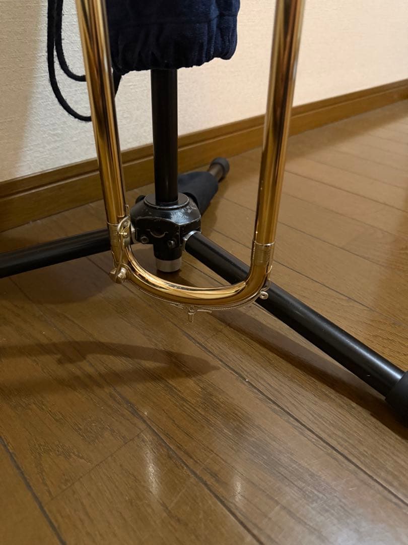 レッチェテナーバストロンボーン