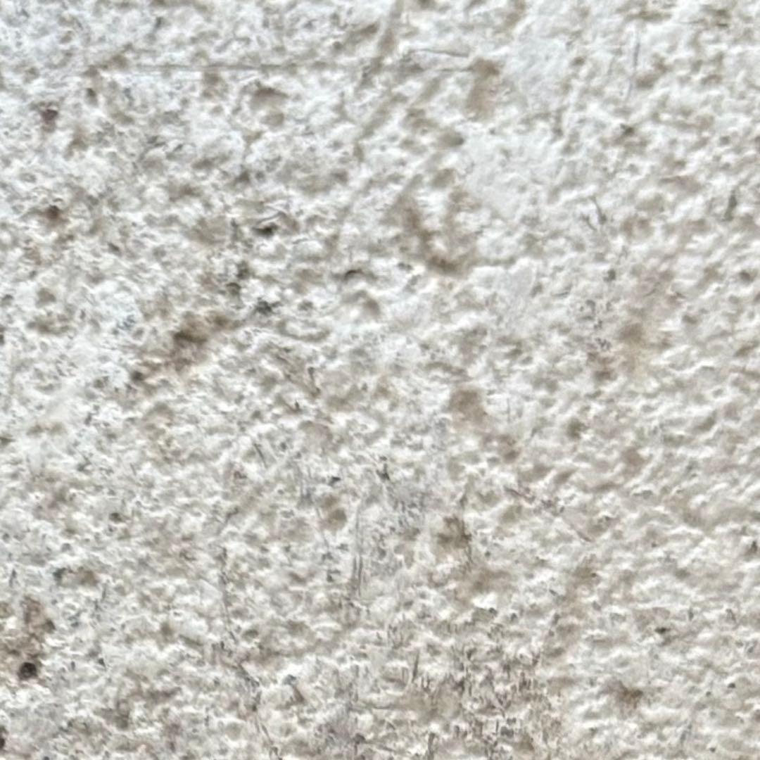 トップス master Peace