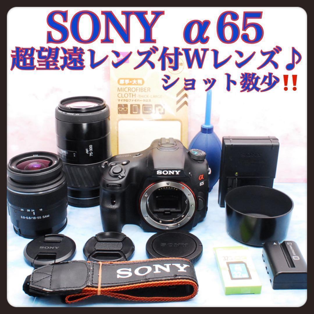ソニー α65★一眼レフカメラ★高速連写＆高画質★超望遠レンズ付Wレンズ