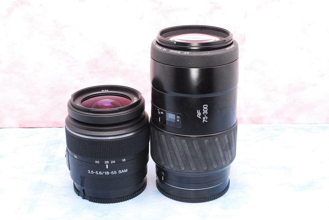 ソニー α65★一眼レフカメラ★高速連写＆高画質★超望遠レンズ付Wレンズ