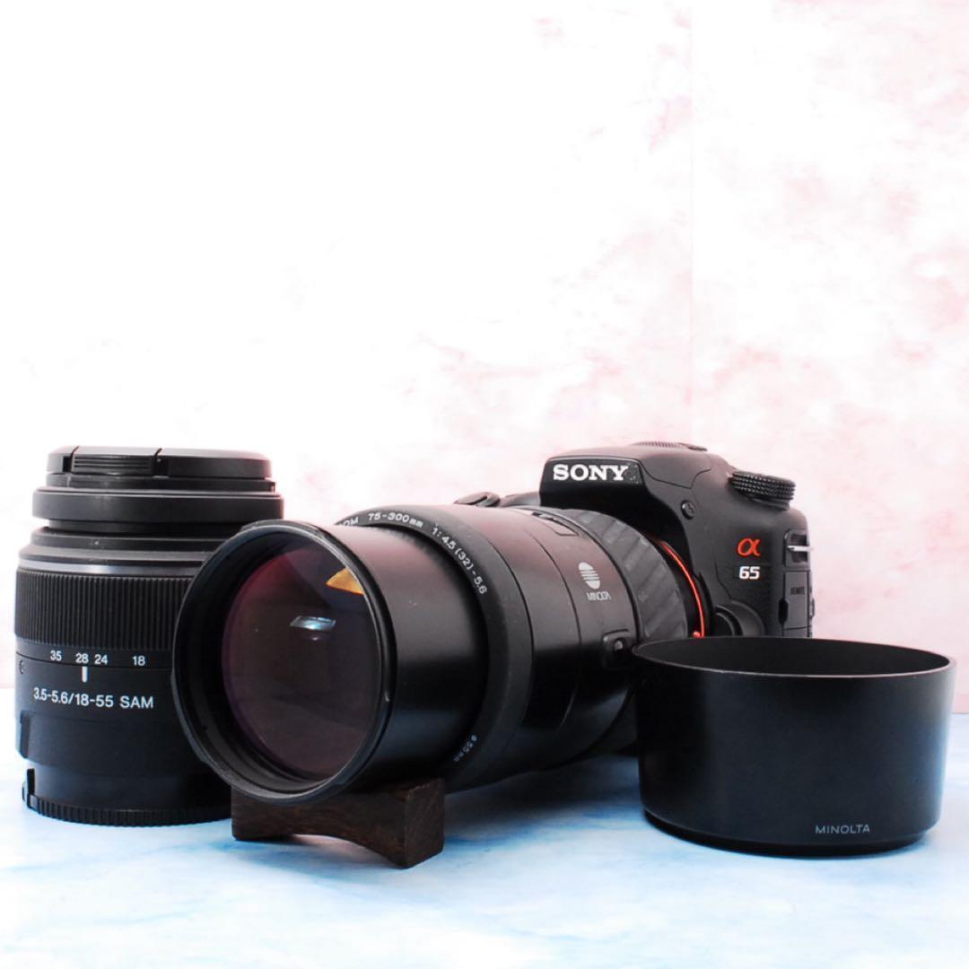 ソニー α65★一眼レフカメラ★高速連写＆高画質★超望遠レンズ付Wレンズ