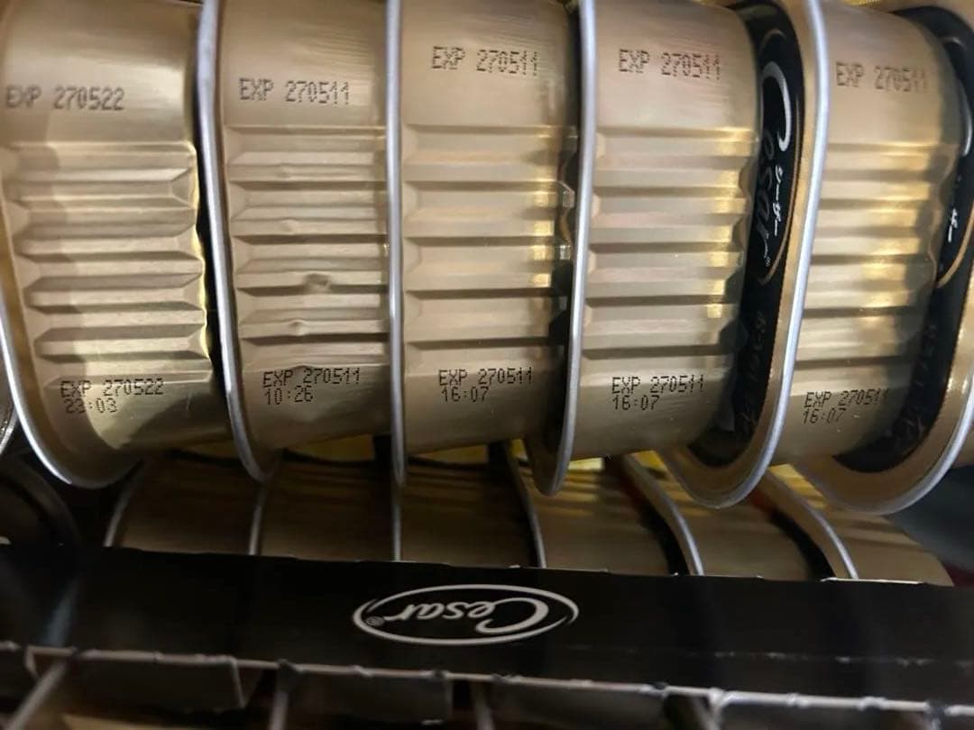 リクエスト品　Cesar 犬用