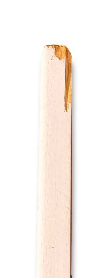 #藤城清治「こびとの楽園」レフグラフ作品 本人サイン入り