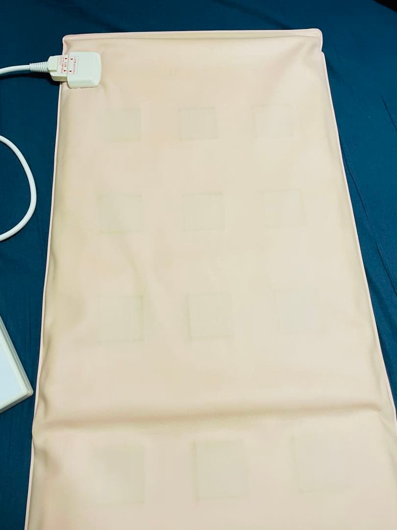 ピュアルネッサンス　ホルミシス　エスティーマット　ST-240