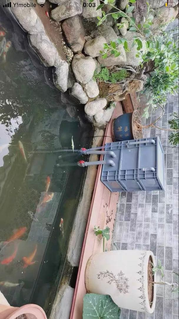 市場最安値、水中ポンプ25w付き大型水槽万能濾過装置濾過外部式濾過層送料込み