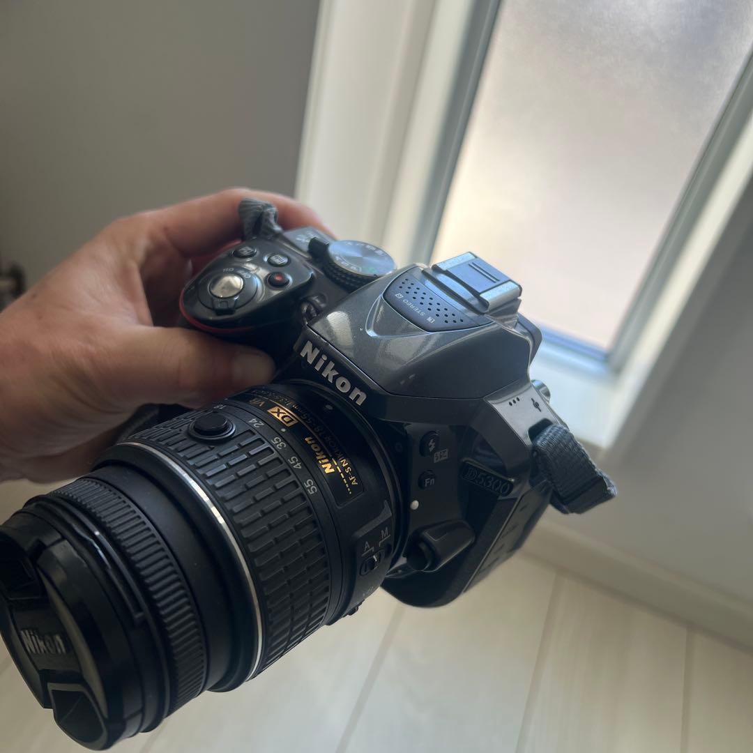 Nikon d5300 希少カラーグレー