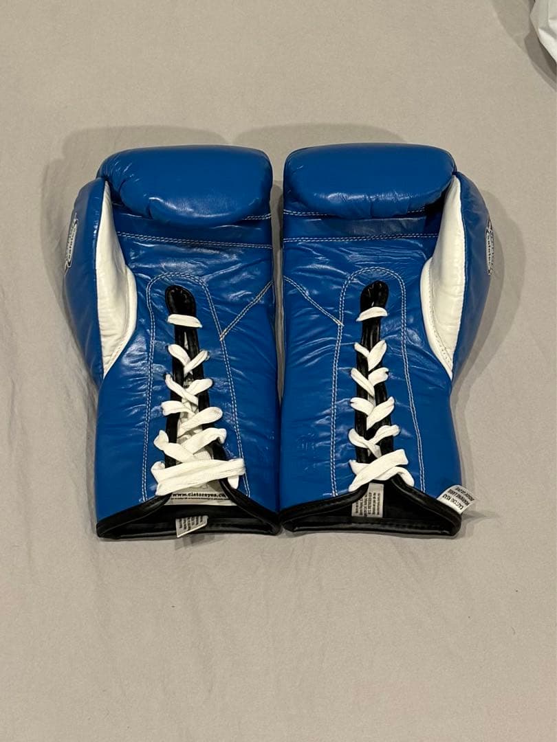 【新品未使用】レイジェス・REYES セーフテック紐式ボクシンググローブ10oz