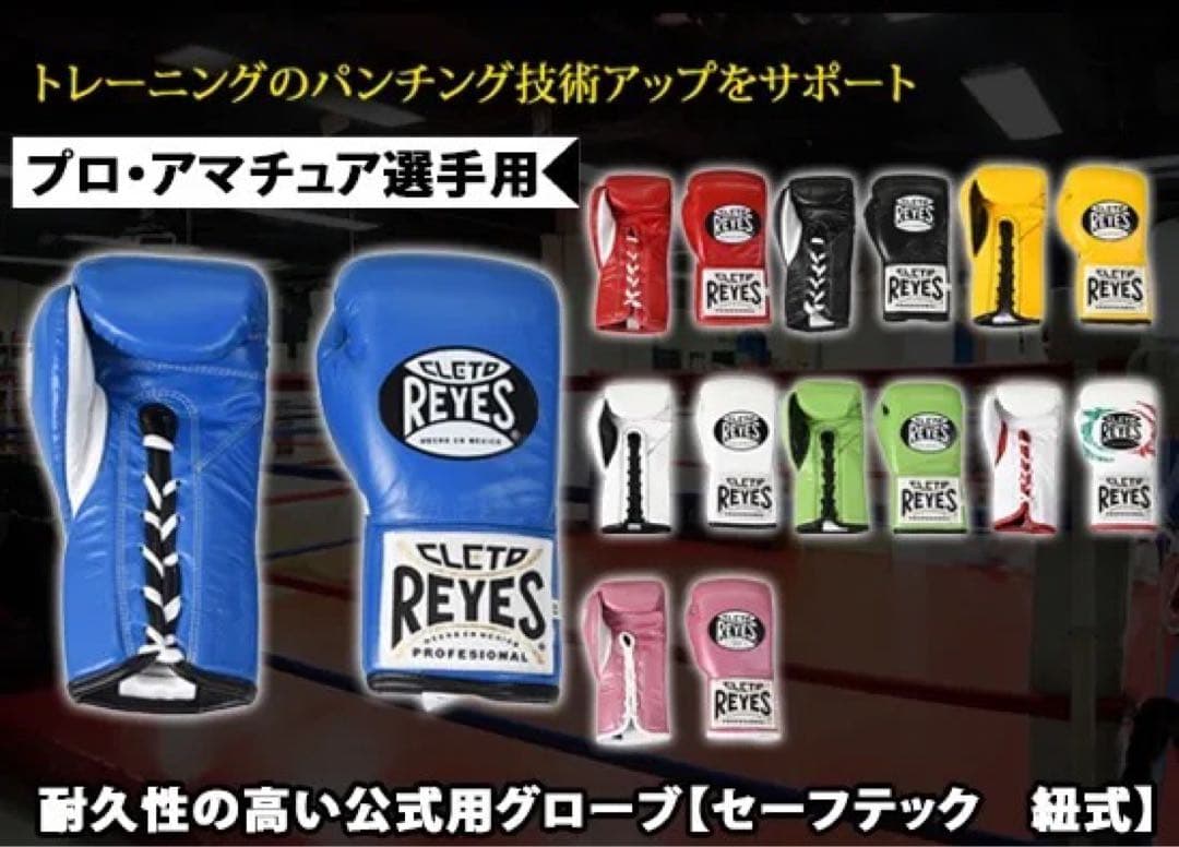 【新品未使用】レイジェス・REYES セーフテック紐式ボクシンググローブ10oz