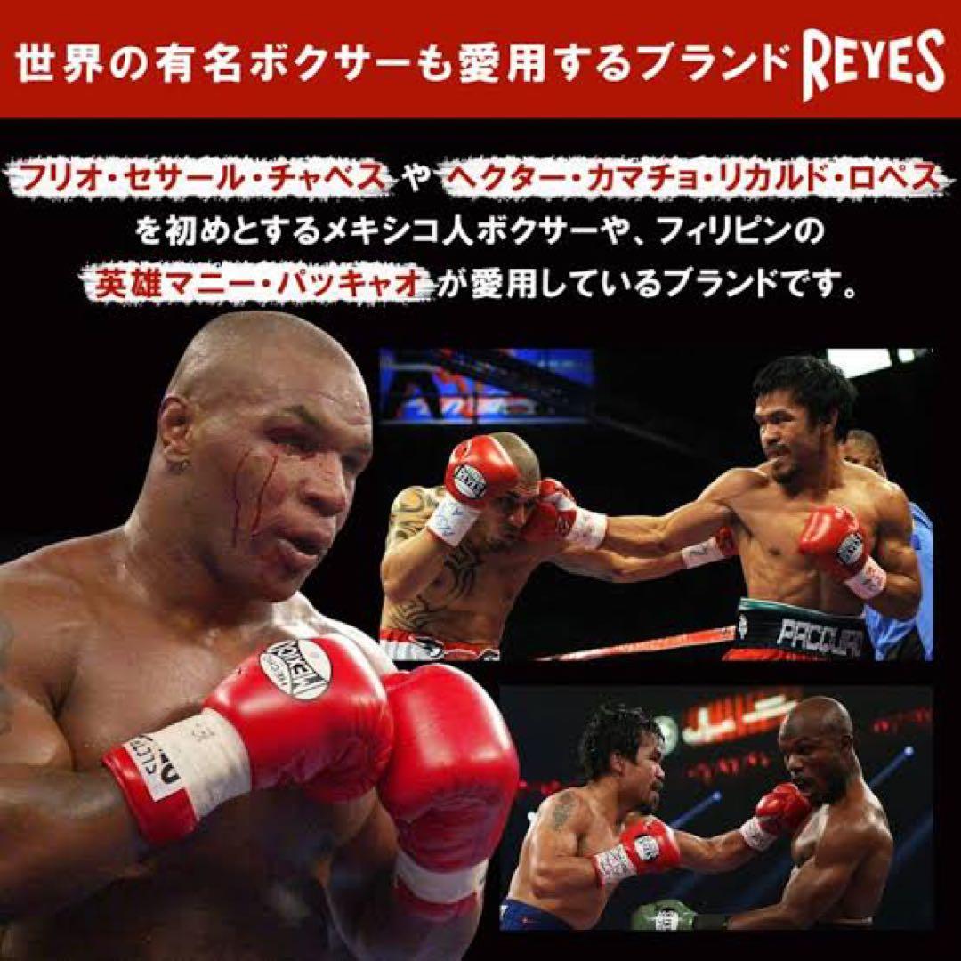 【新品未使用】レイジェス・REYES セーフテック紐式ボクシンググローブ10oz