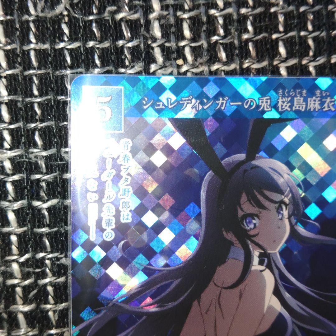 シュレディンガーの兎桜島麻衣(匿名発送)