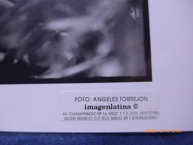 メキシコを代表するフォトジャーナリスト、アンジェレ・トレヤンのオリジナルプリント