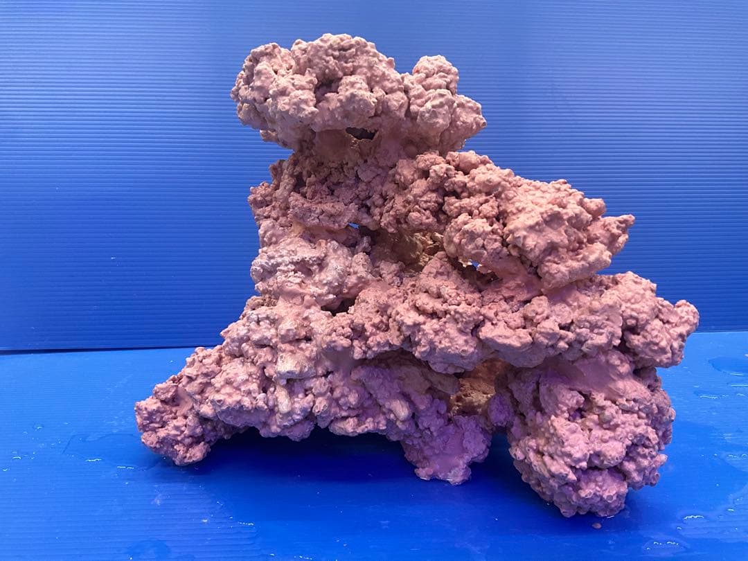 人工ライブロック　No.37. 無害化処理済