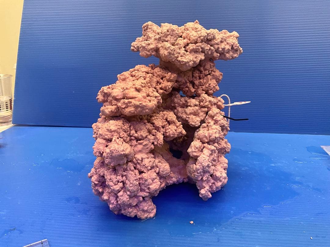 人工ライブロック　No.37. 無害化処理済