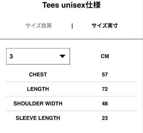 トップス wtaps sacai flock print t-shirt