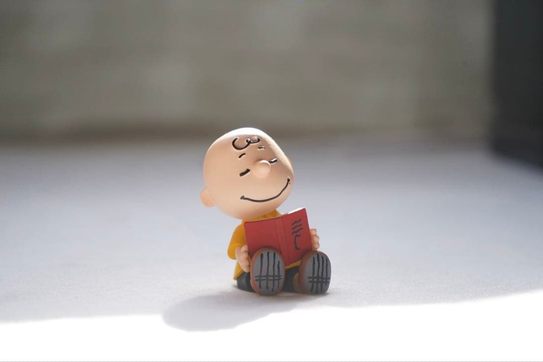 SONY α7ⅱ 標準レンズ付き【バッテリー4個付き】