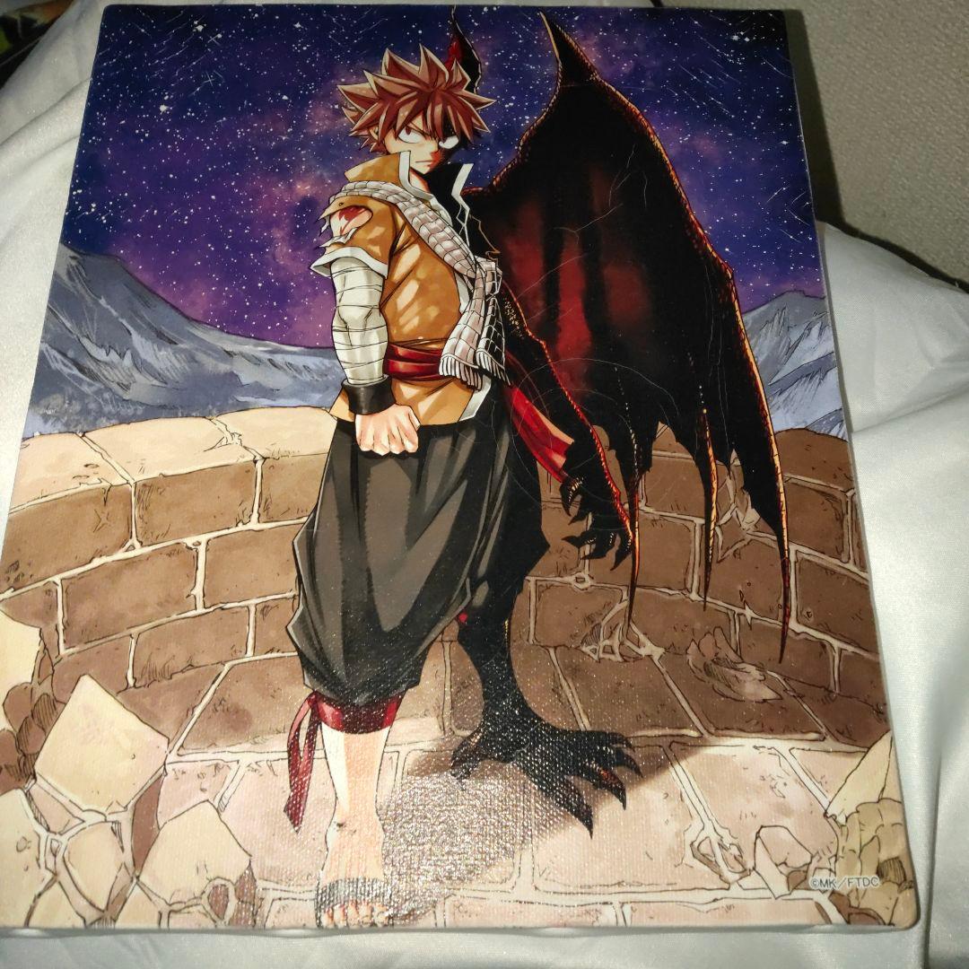 フェアリーテイル ナツドラグニル キャンバス