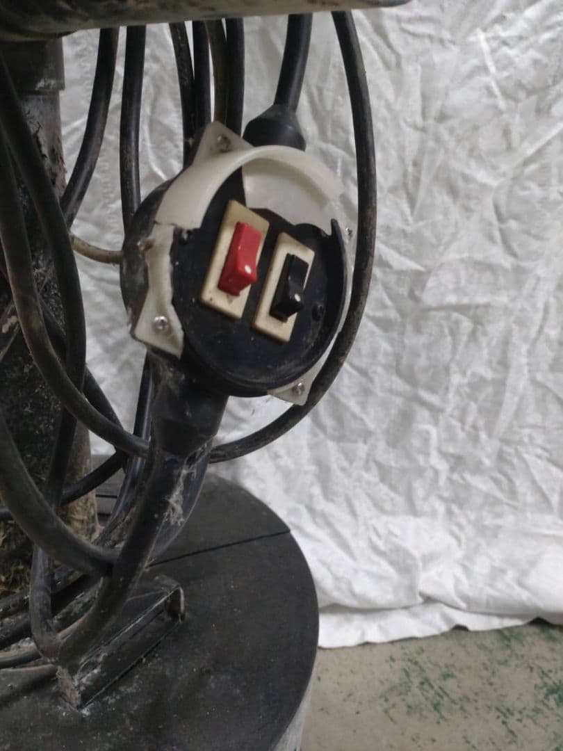 ウォータークリーナー 錦鯉