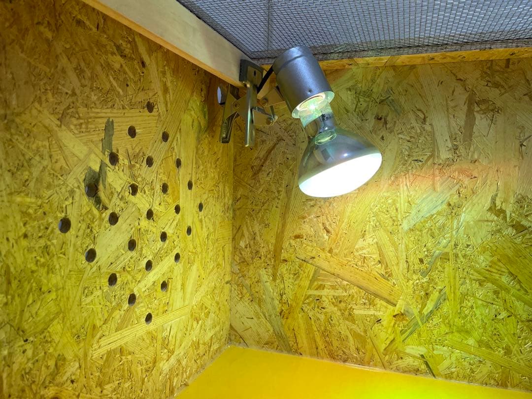 爬虫類ケージ　爬虫類飼育ゲージ　90×45×45サイズ　天井金網仕様